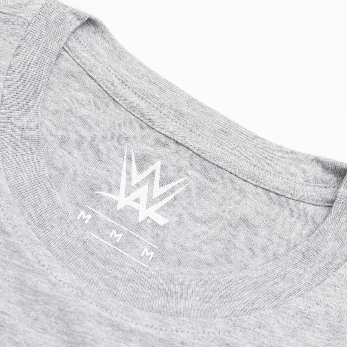 Seth Rollins WWE Superstar T-Shirt Gray - Taass outlet
