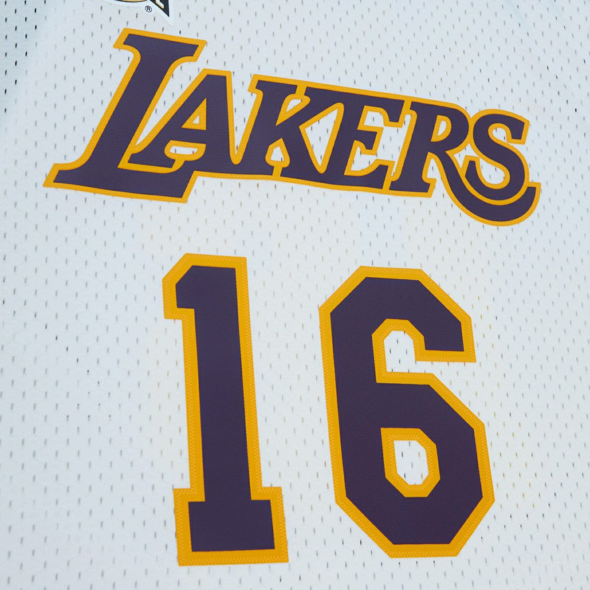 Pau Gasol #16 Los Angeles Lakers HOF 2001-19 Mitchell & Ness Swingman NBA Jersey - Taass sale