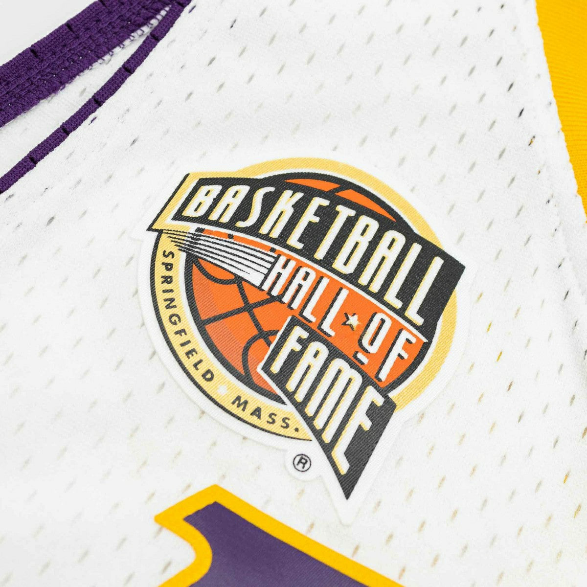 Pau Gasol #16 Los Angeles Lakers HOF 2001-19 Mitchell & Ness Swingman NBA Jersey - Taass sale