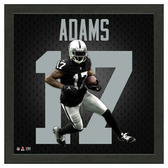 Davante Adams #17 Las Vegas Raiders Impact Jersey Framed NFL Photo - Taass sale