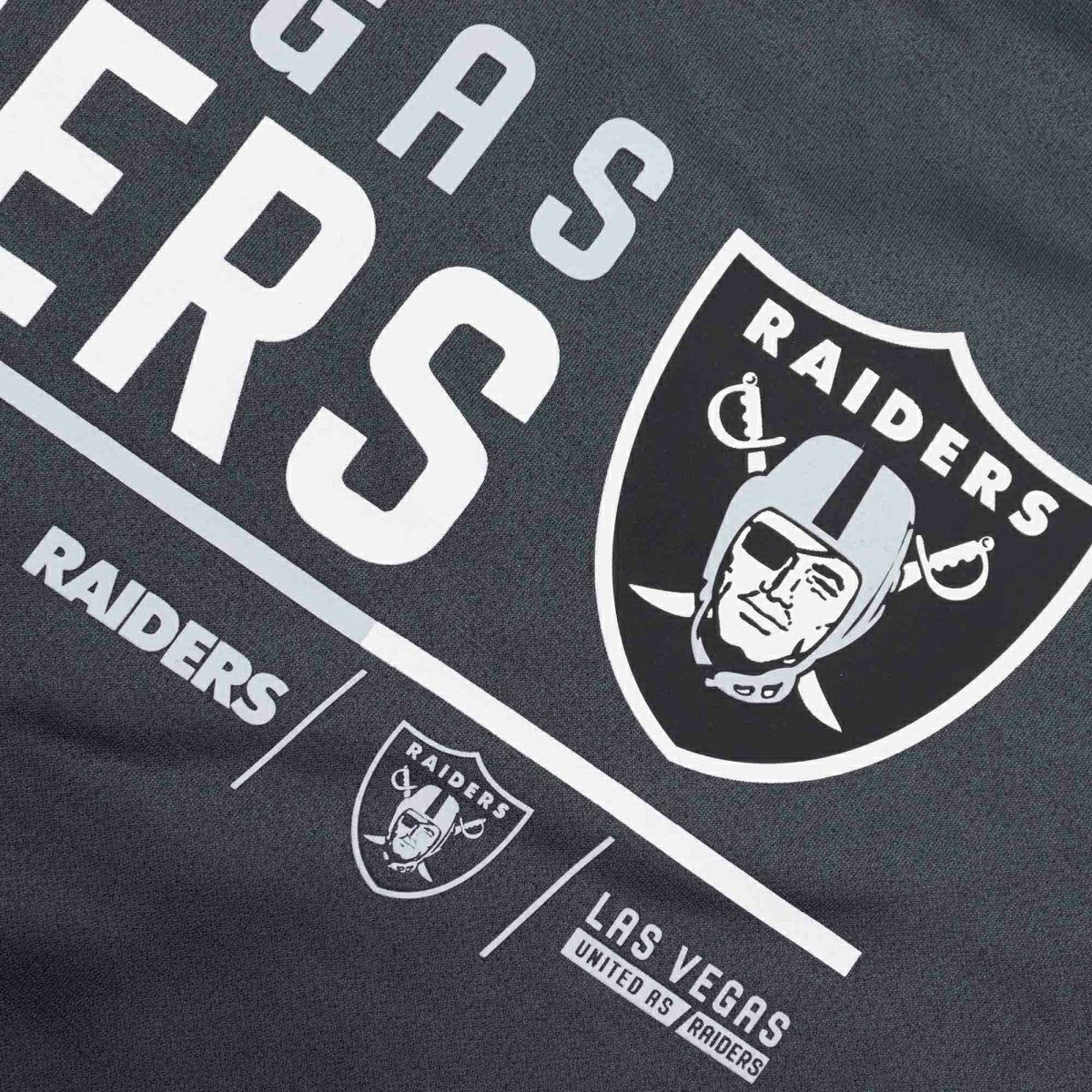 Las Vegas Raiders Community Therma Dri-FIT NFL Hoodie Anthracite - Taass on sale