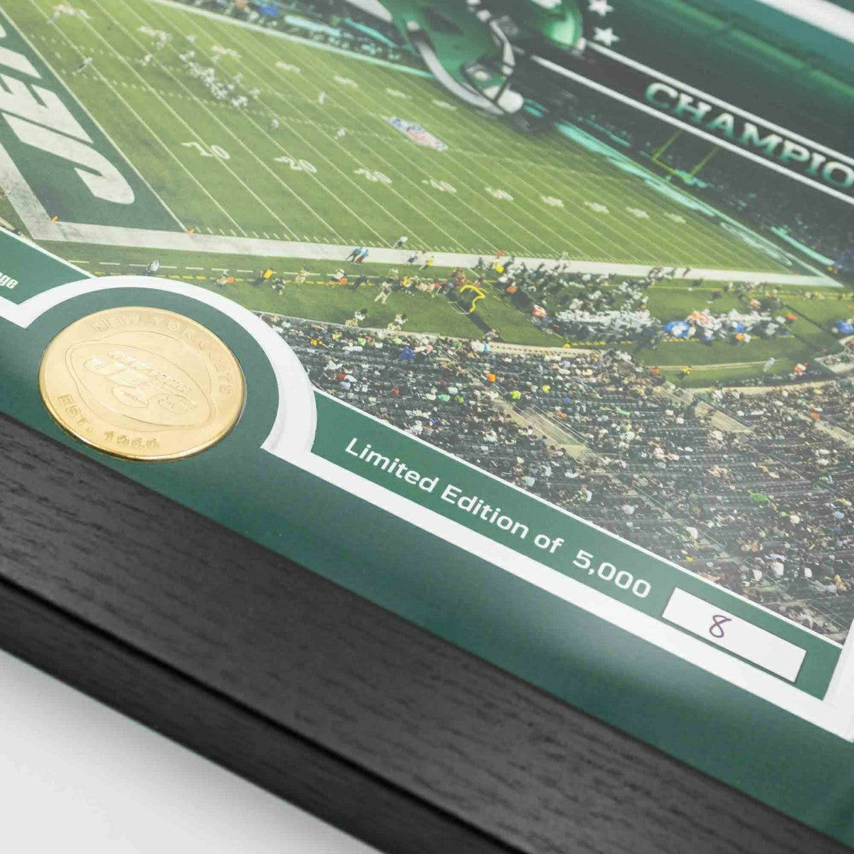 New York Jets Team Stadium Bronze Coin Framed NFL Photo - Taass Online