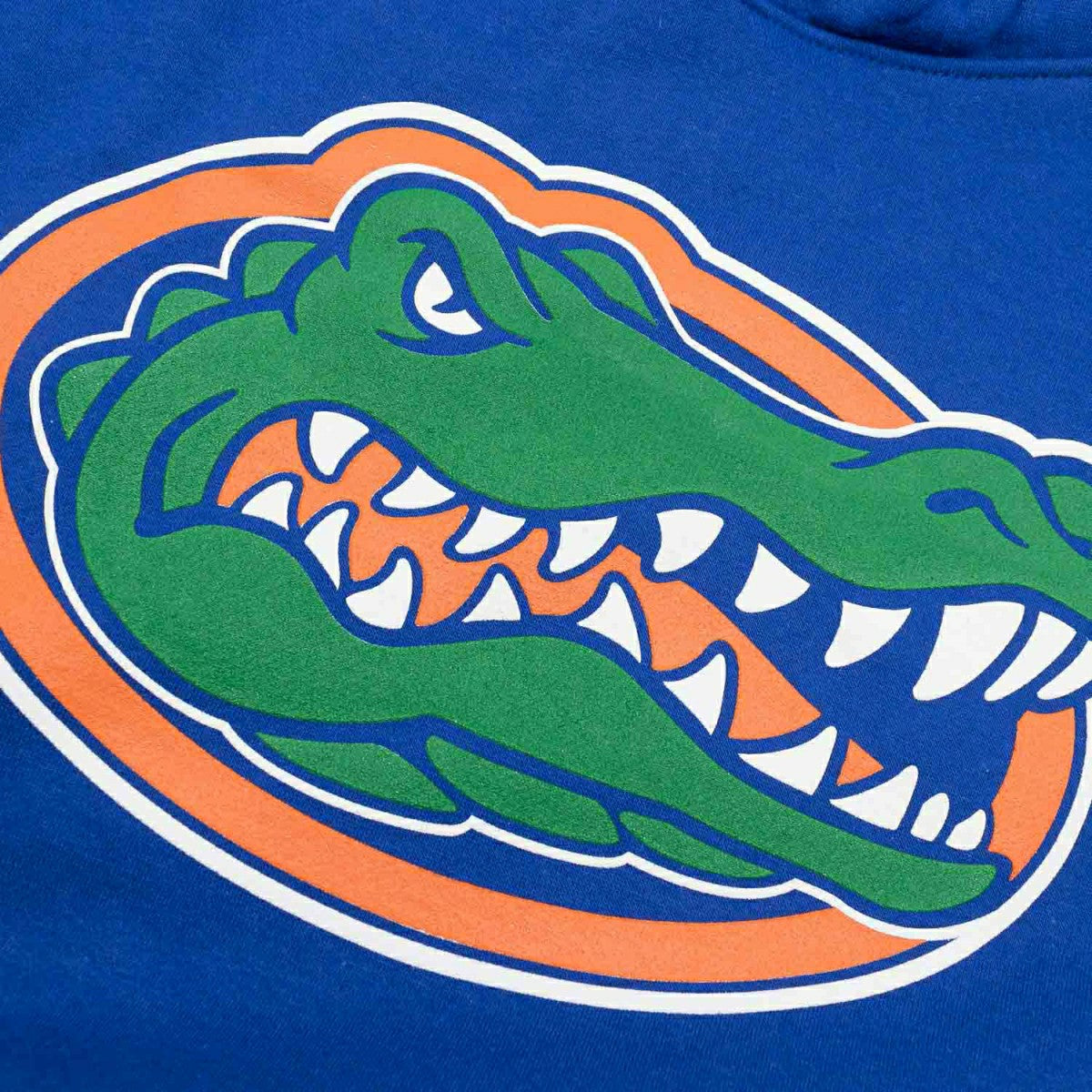 Florida Gators Primary Logo NCAA Hoodie Blue - Taass sale