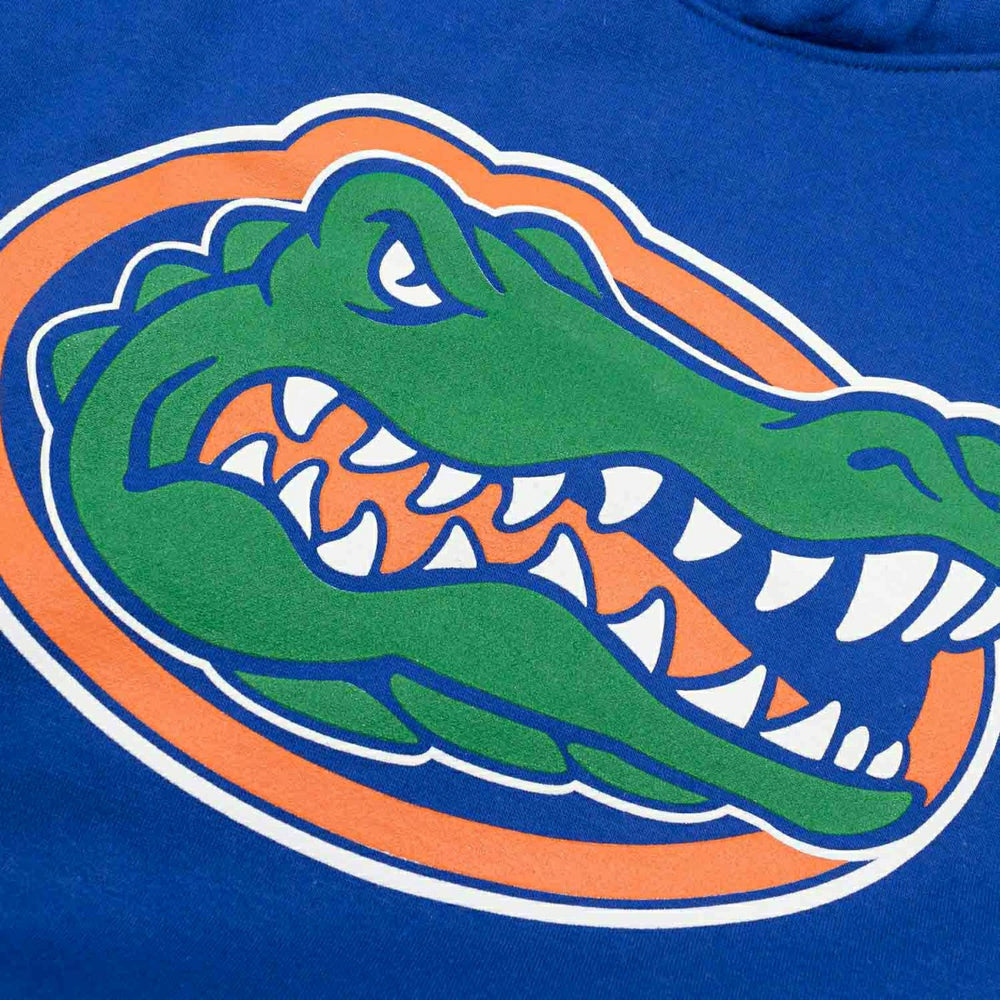 Florida Gators Primary Logo NCAA Hoodie Blue - Taass sale