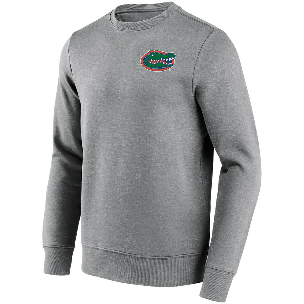 Florida Gators We Are Gator Boys Crew Sweatshirt Gray - Taass discount