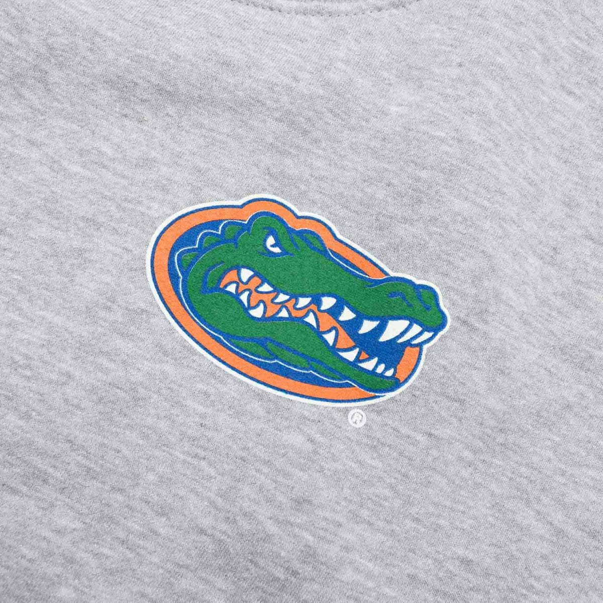 Florida Gators We Are Gator Boys Crew Sweatshirt Gray - Taass discount