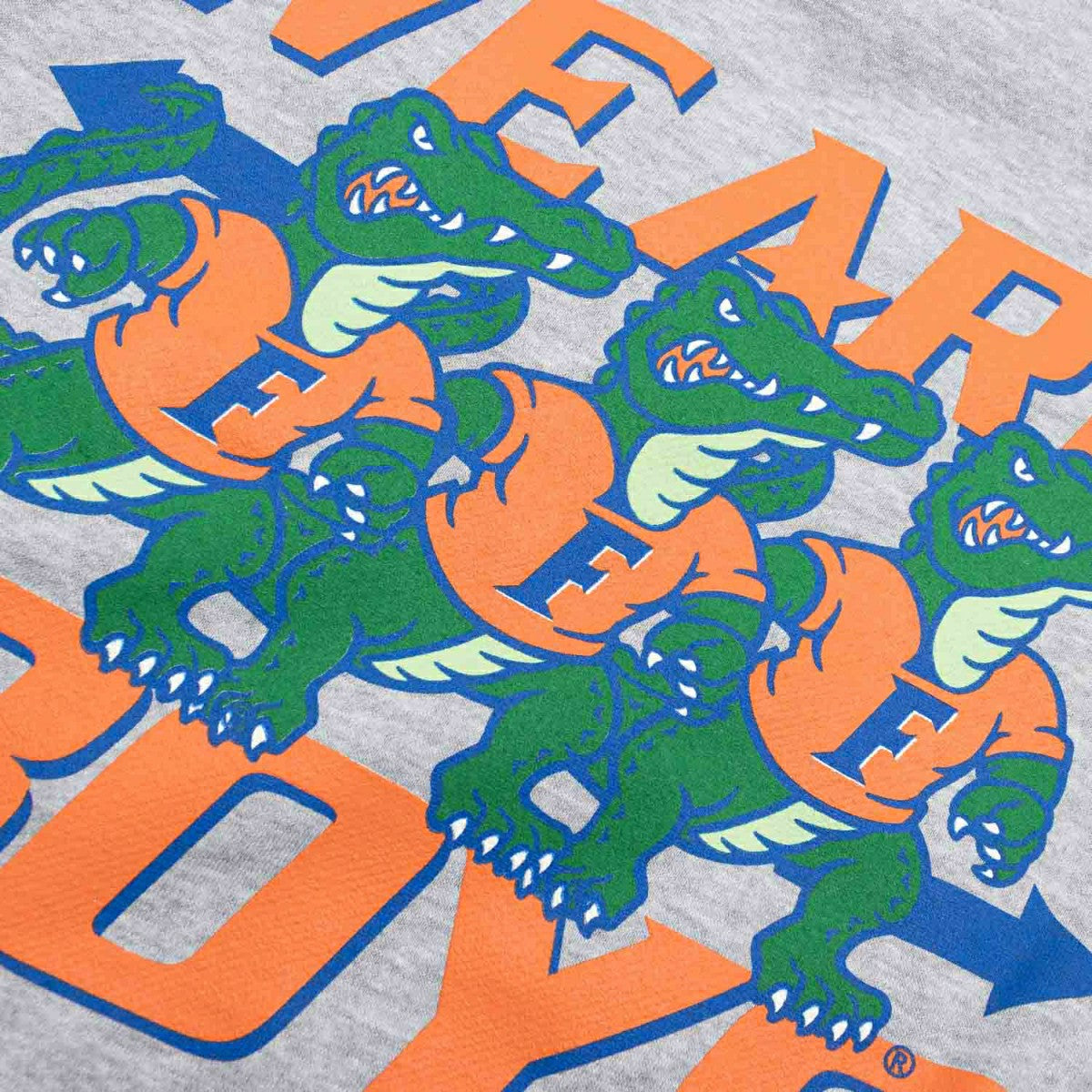 Florida Gators We Are Gator Boys Crew Sweatshirt Gray - Taass discount